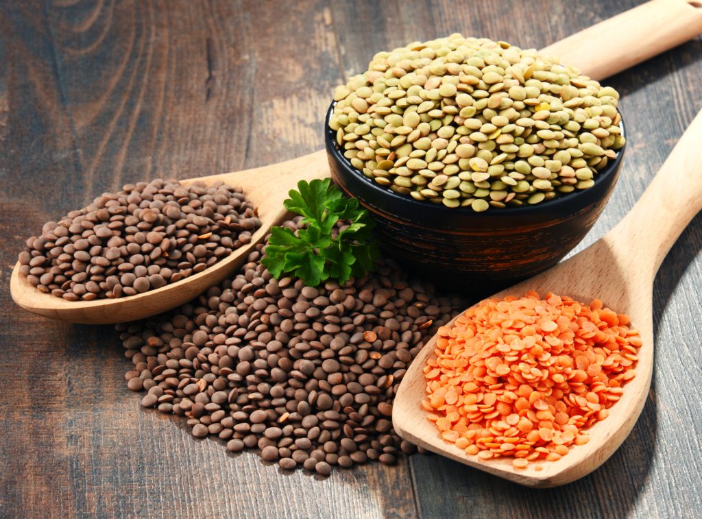 What Are Plant Based Proteins Made Of